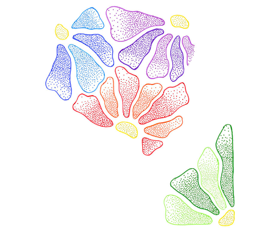 c14fc43f1c669b88b960f5df5c1c2e83